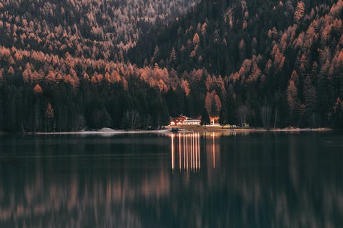 房子在树林和平静的水体附近的风景摄影 · 免费素材图片