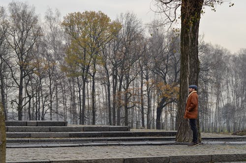 站在树旁边的男人穿着大衣 · 免费素材图片