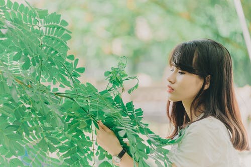 女人控股植物 · 免费素材图片