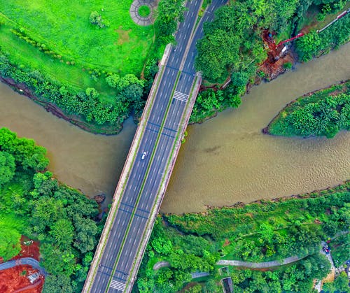 水上树木桥梁的航拍 · 免费素材图片
