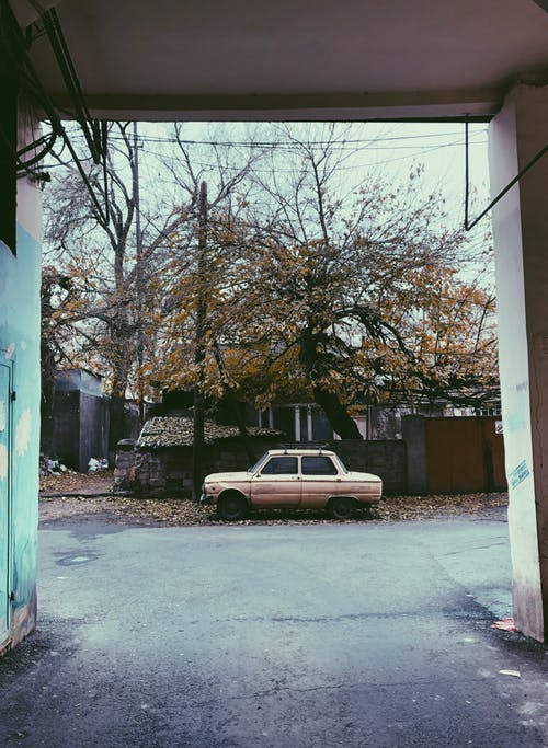 停在树附近的棕色轿车 · 免费素材图片