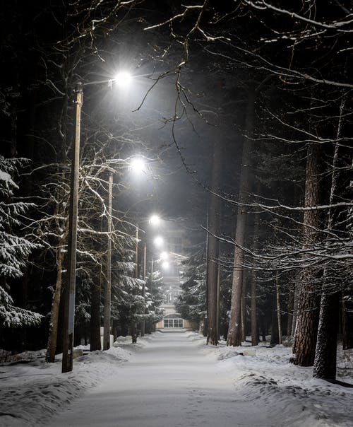冬季与路灯路面的照片 · 免费素材图片