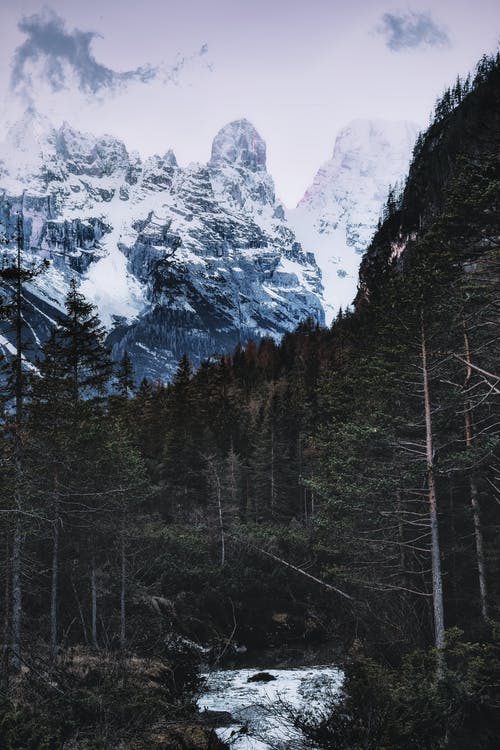 森林附近的雪山照片 · 免费素材图片