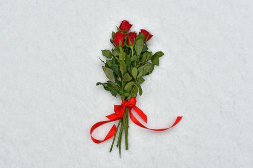 在白色纺织品上的四朵红玫瑰 · 免费素材图片