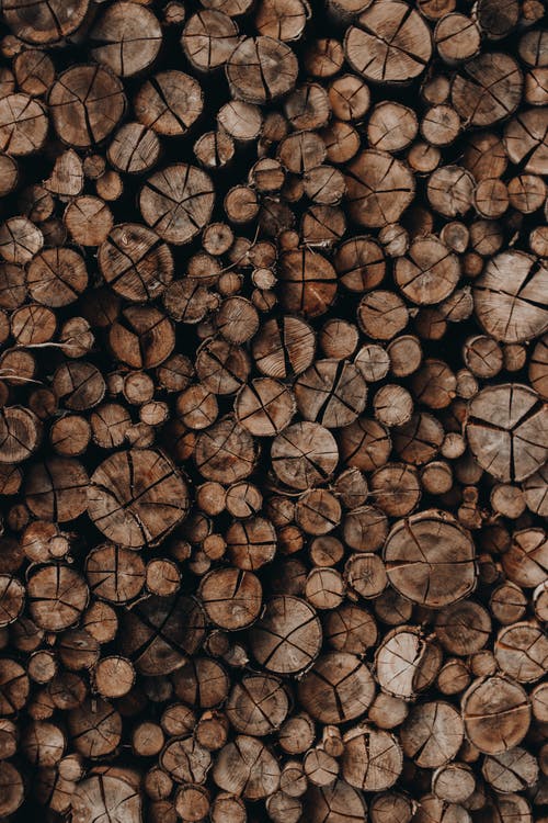 有关切碎的木头, 升火的木柴, 圆木条的免费素材图片