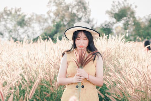 女人控股植物 · 免费素材图片