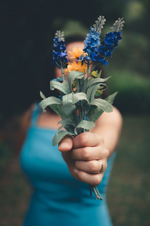 妇女拿着蓝色瓣花的选择聚焦摄影 · 免费素材图片