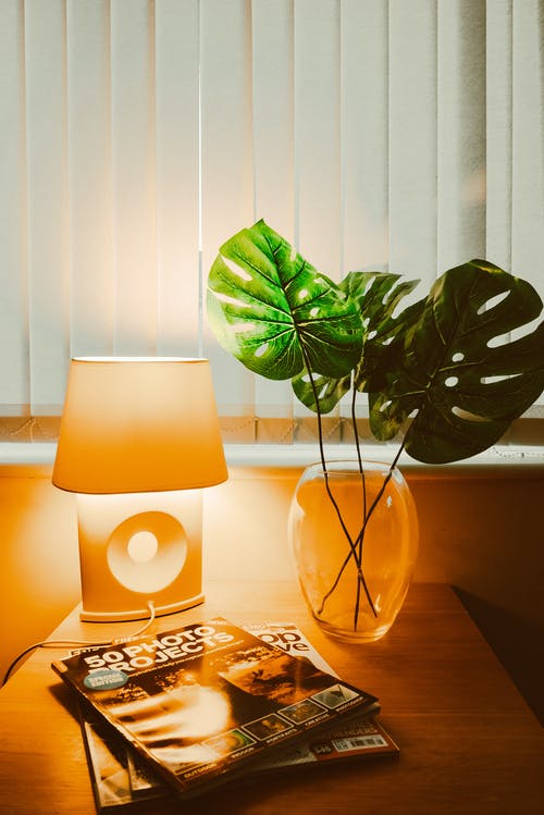 灯罩附近的植物照片 · 免费素材图片