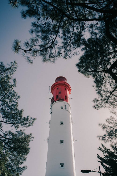 树附近的灯塔 · 免费素材图片