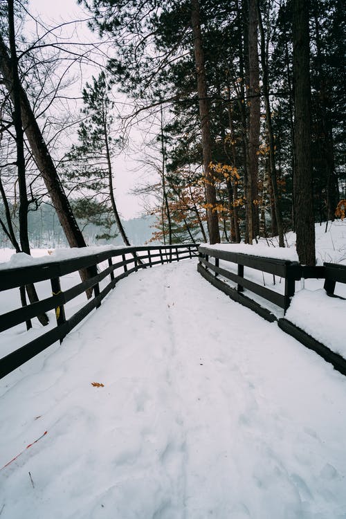 大雪覆盖的路径 · 免费素材图片