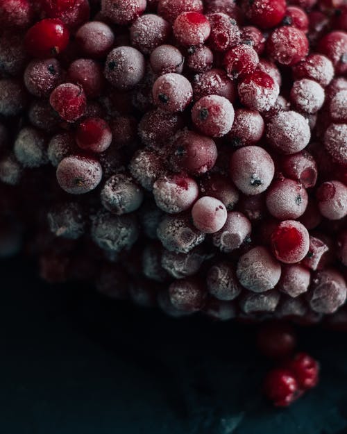 红浆果的选择性聚焦摄影 · 免费素材图片