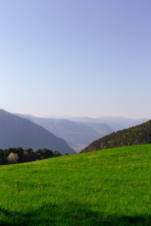 绿草地的风景摄影 · 免费素材图片