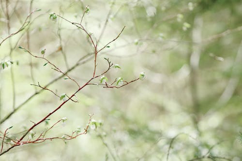 分行 · 免费素材图片