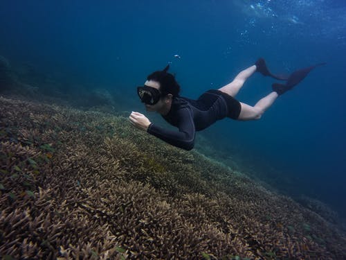 水下游泳的女人 · 免费素材图片