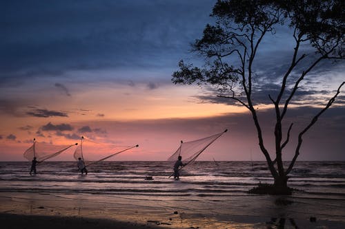 海边的人 · 免费素材图片