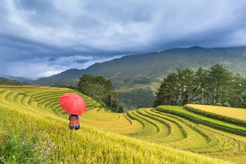 拿着红色的伞，在田野上行走的人 · 免费素材图片