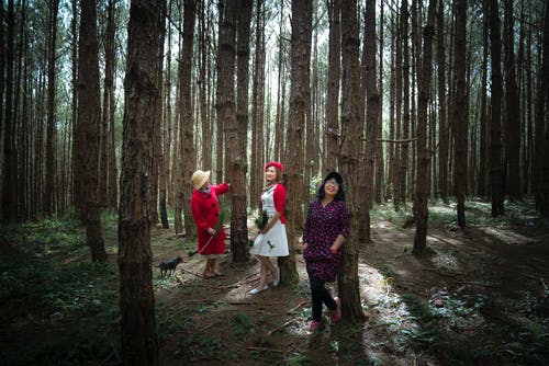 站在树下的三个女人 · 免费素材图片