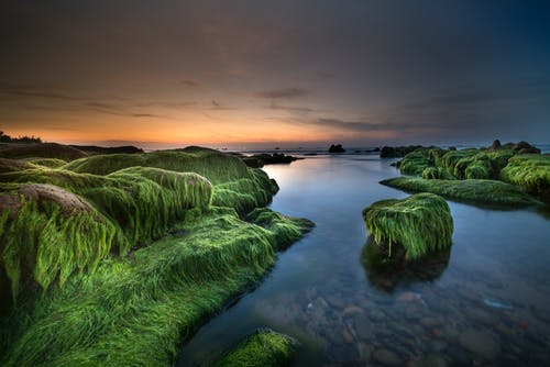河与岩石覆盖着绿色的青苔的视图 · 免费素材图片