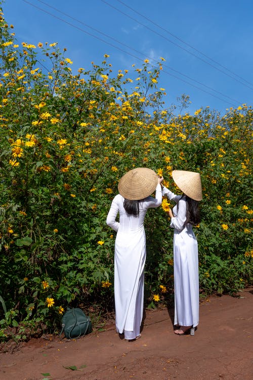 两个女人摘花 · 免费素材图片