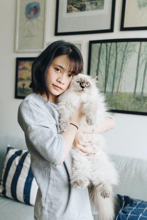 女人抱着喜马拉雅猫 · 免费素材图片