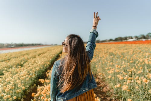 女人站在黄色花瓣花园举手 · 免费素材图片