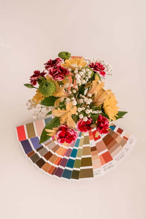 棕色和红色花瓣的花朵靠近调色板 · 免费素材图片