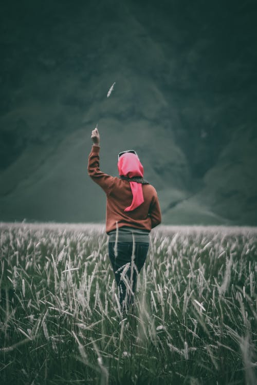 女人养白花瓣花 · 免费素材图片