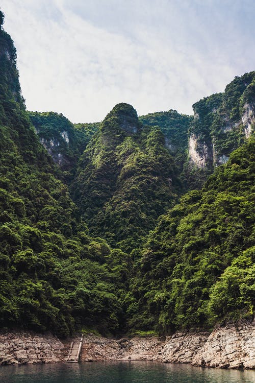 树木覆盖的山照片 · 免费素材图片