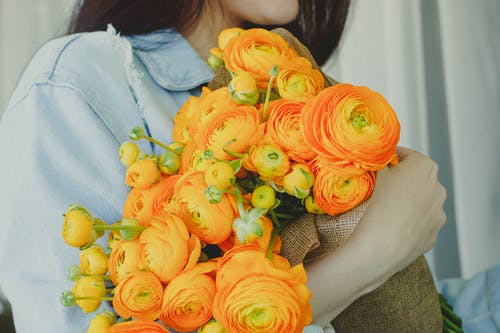 黄色和橙色的花朵 · 免费素材图片