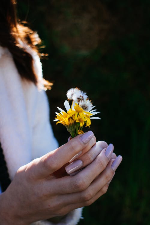 拿着白色和黄色瓣花的人 · 免费素材图片