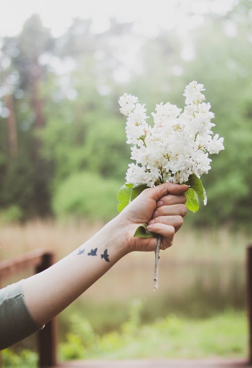 持有白色花瓣花的人 · 免费素材图片