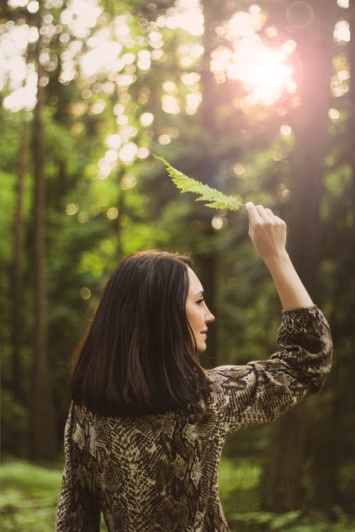 女人站在树林里抱着蕨叶的背影照片 · 免费素材图片