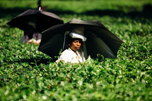 一个女人拿着一把伞的照片 · 免费素材图片