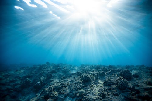 海洋水下摄影 · 免费素材图片