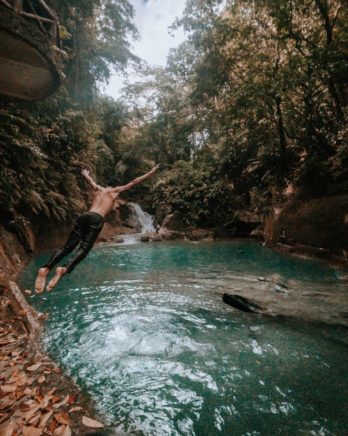 男子跳水在绿树下 · 免费素材图片