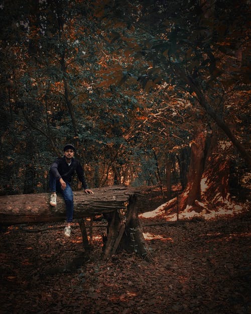 穿黑毛衣，坐在树干上的男人 · 免费素材图片