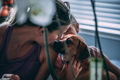 女人亲吻狗的照片 · 免费素材图片