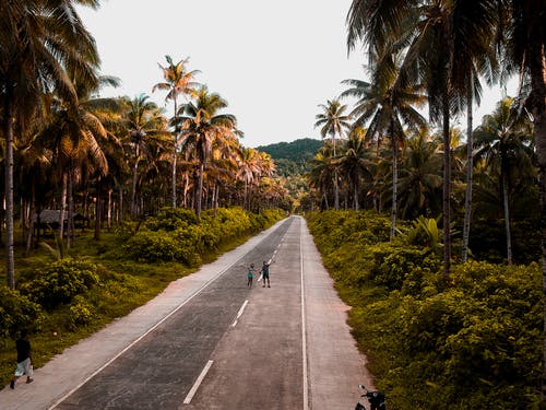 两人站在道路上的航拍 · 免费素材图片