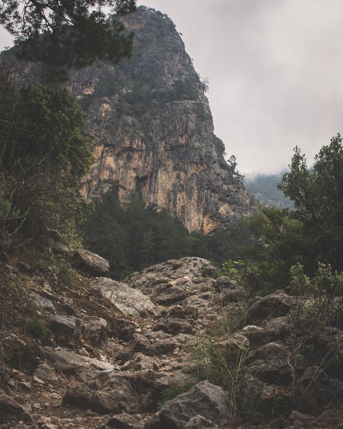 布朗山附近的绿树 · 免费素材图片