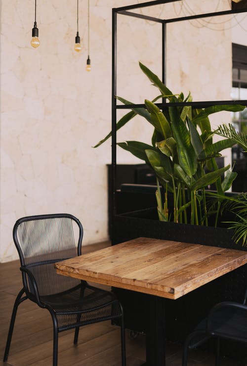 绿叶植物前的棕色木桌 · 免费素材图片