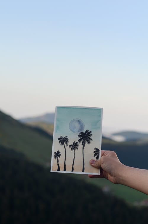 手里拿着棕榈树的图片的选择性焦点照片 · 免费素材图片