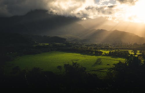 绿草地的风景摄影 · 免费素材图片