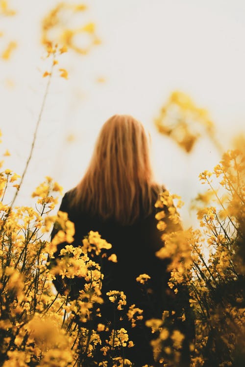 女人站在黄色的花朵附近的低角度照片 · 免费素材图片