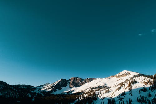 雪山和树木 · 免费素材图片