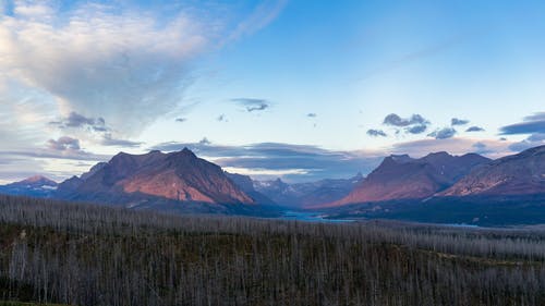 布朗山 · 免费素材图片