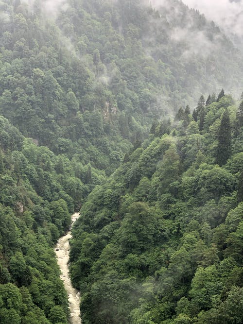 山与树的航拍 · 免费素材图片