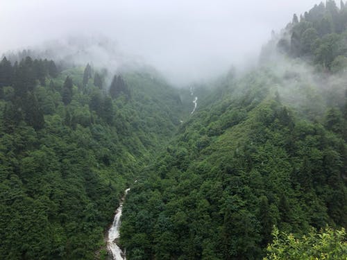 树木之间的河鸟瞰图 · 免费素材图片