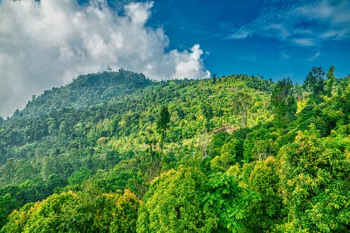 绿山风景摄影 · 免费素材图片