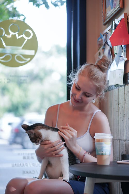 女人抱着一只虎斑猫的照片 · 免费素材图片