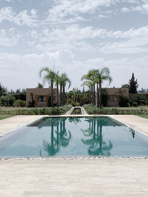 游泳池与棕榈树的倒影 · 免费素材图片